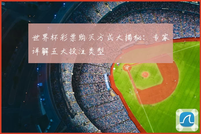 世界杯彩票购买方式大揭秘:专家详解五大投注类型