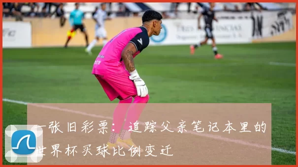 一张旧彩票：追踪父亲笔记本里的世界杯买球比例变迁