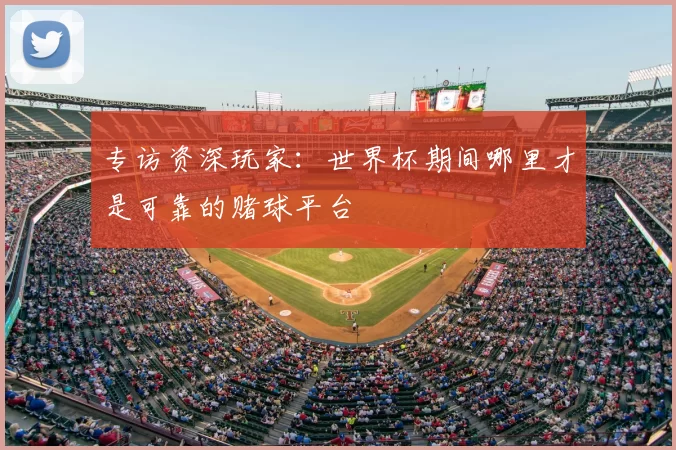 专访资深玩家：世界杯期间哪里才是可靠的赌球平台