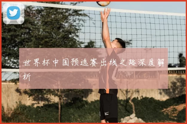 世界杯中国预选赛出线之路深度解析