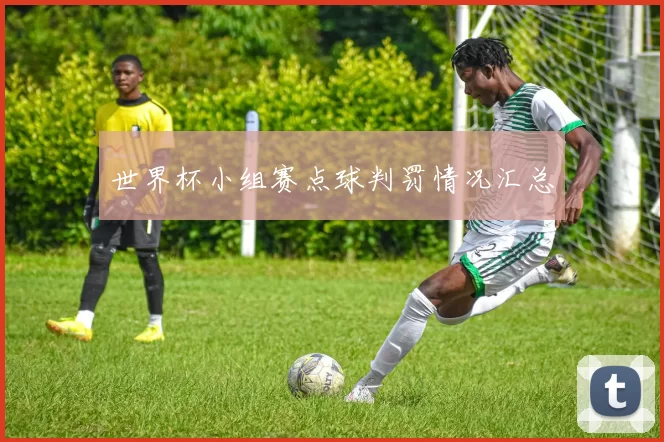 世界杯小组赛点球判罚情况汇总